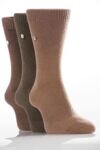 Mens 3 Pair SockShop Colour Burst Cotton Socks In 4 Colours