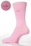 Ladies 1 Pair SockShop Individual Embroidered Name - JOANNE