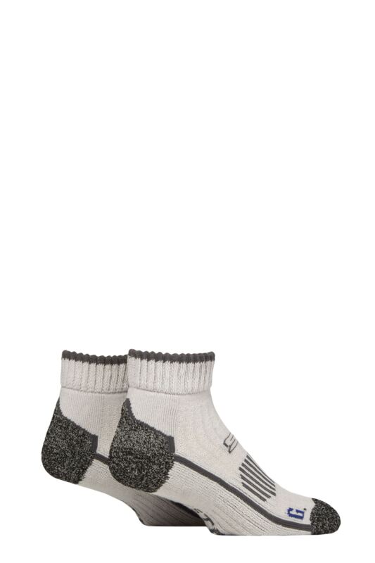 Mens 2 Pair Storm Bloc with BlueGuard Ankle High Walking Socks